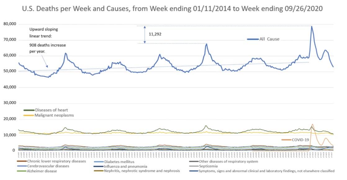 ALERT !!!!  - JOHN HOPKINS:: 'NO EVIDENCE !! That COVID-19 Created Any Excess Deaths'It means COVID-19 was simply categorized as the cause of death to support this false narrative 2020-11-27_6-27-49