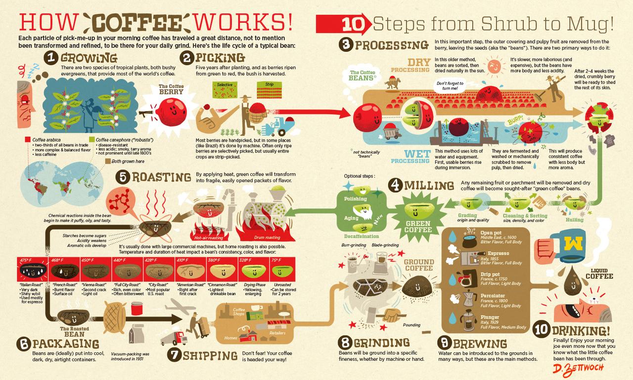 From Bean To Brew Visualizing The Coffee Supply Chain