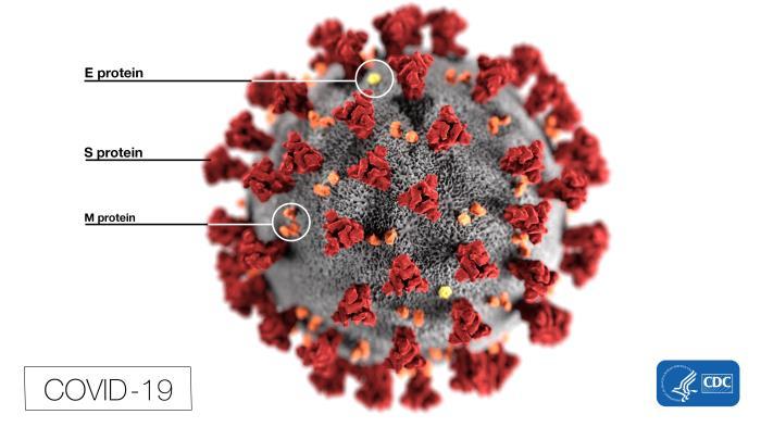 COVID19 UPDATES - Dr. Drew: Media ‘Needs To Shut Up’ About Coronavirus plus MORE ER-2nBOWAAYFqkd