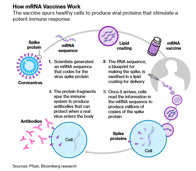 Pfizer Asks FDA To Approve COVID-19 Vaccine For Emergency Use MRNA2_1