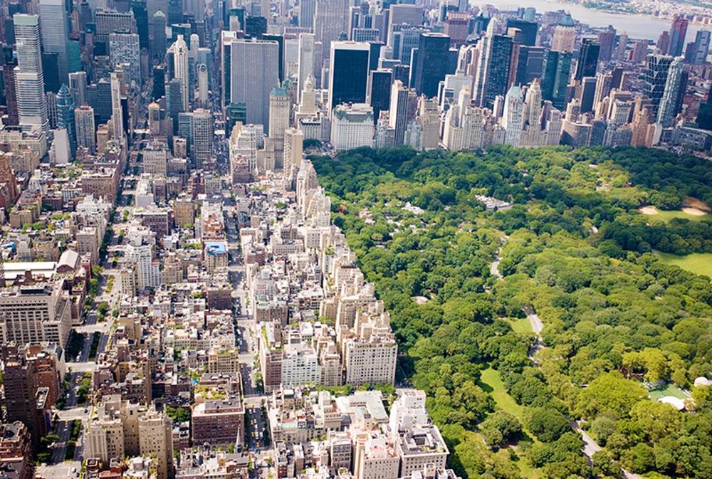 NYC Crime Spike Hits Ultra-Wealthy Neighborhood | Zero Hedge