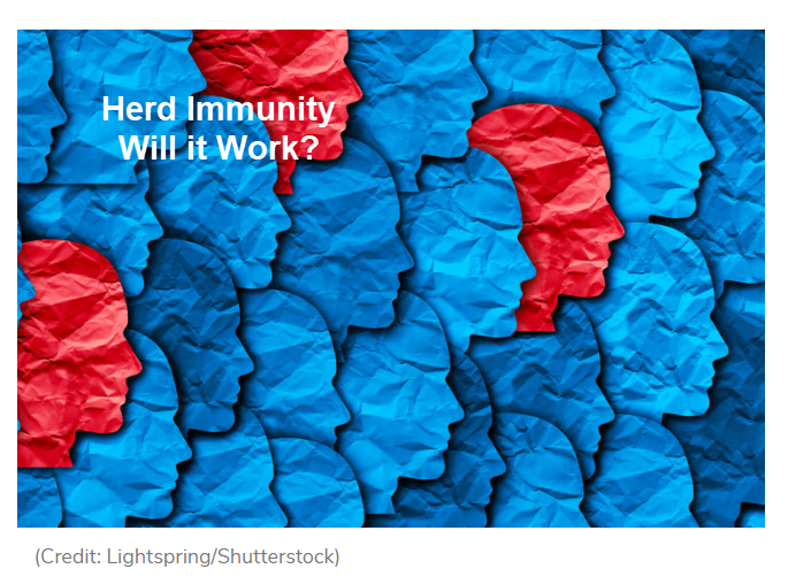 Is Sweden's 'Herd Immunity Strategy' The Best We Can Do? 2