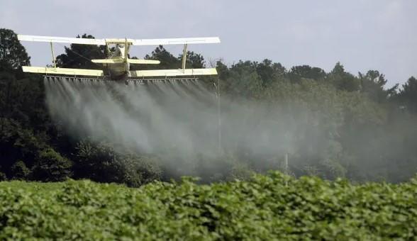 Not-So-Superfood? Pesticide Residue Found In 70% Of US Produce & 92% Of Kale Pest