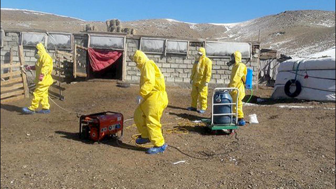 New Bubonic Plague Cases Send Mongolian Region Along Russian Border On Lockdown Plaguemongruss