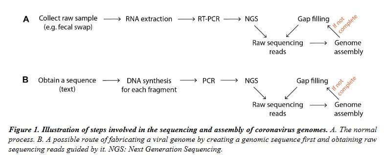 COVID-19 Is 'Unrestricted Bioweapon': Whistleblower Releases Second Paper Alleging 'Large-Scale, Organized Scientific Fraud' Sequence