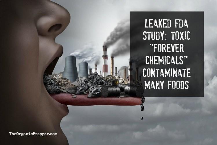 Image result for Leaked FDA Documents Reveal Dangerous 'Forever Chemicals' in Meat, Poultry, Milk, and Chocolate Cake
