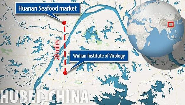  The Wuhan National Biosafety Laboratory is located just about 20 miles away from the Huanan Seafood Market, the epicenter of Coronavirus outbreak