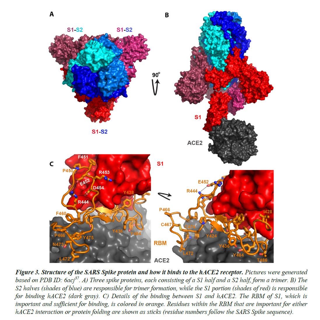 'Rogue' Chinese Virologist Joins Twitter, Publishes "Smoking Gun" Evidence COVID-19 Created In Lab Yan%201