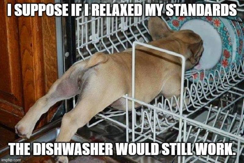 DISHWASH.jpg