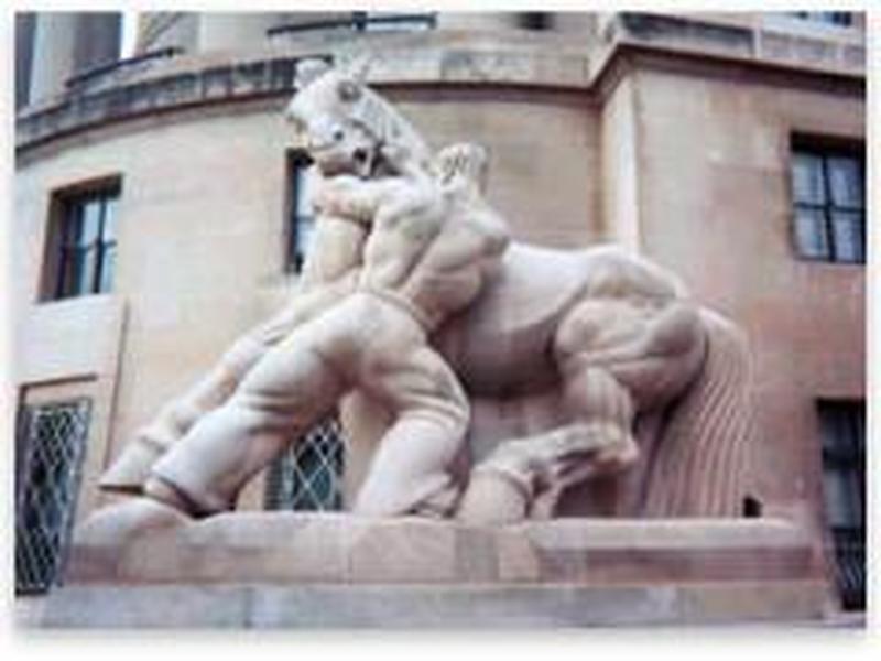 Uploaded Image