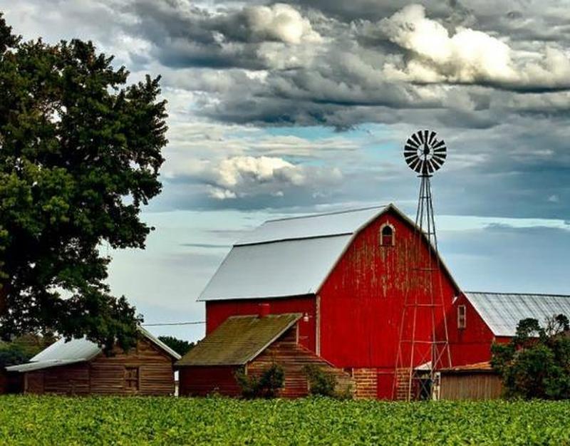 Prison Planet.com » The U.S. Faces A Catastrophic Food Supply Crisis In ...