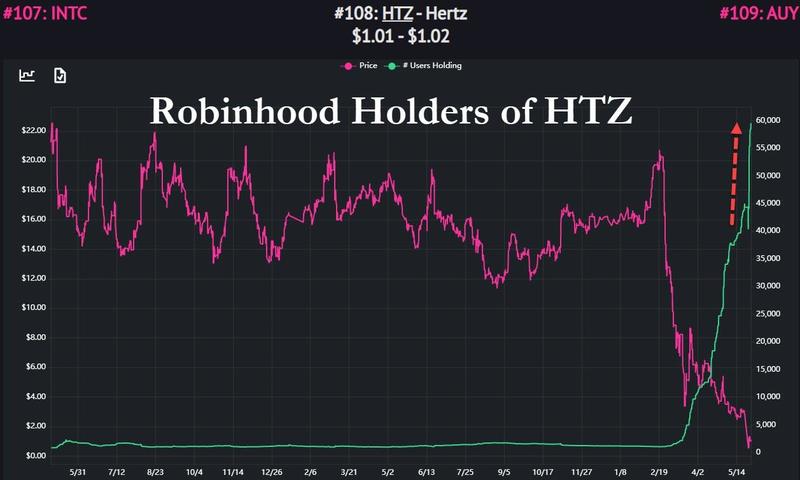 RobinHood Hertz holding