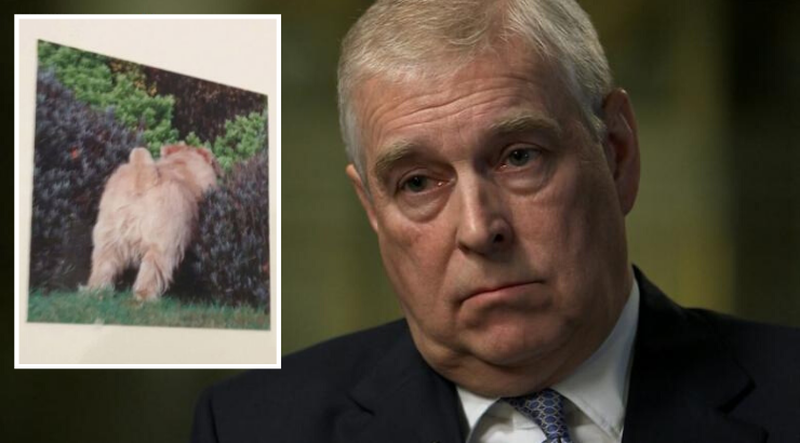 prince-andrew-dog-butt.png