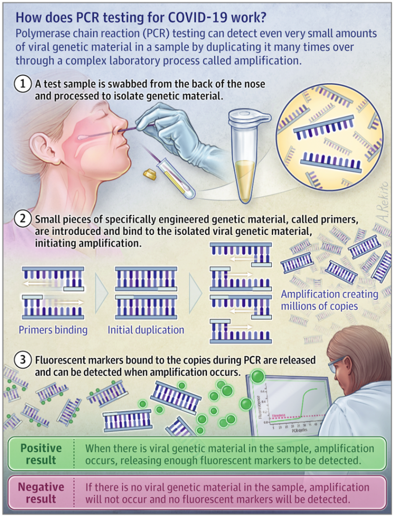 rt-pcr-tes-768x1008_0.png