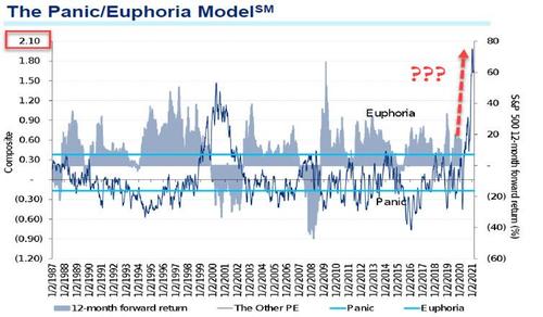 Panic/Euphoria Model