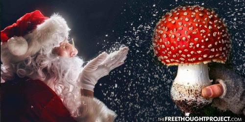 8 Ways Magic Mushrooms Explain Santa Claus & The Christmas Tradition