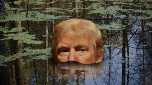 Der Sumpf verschlingt Trump