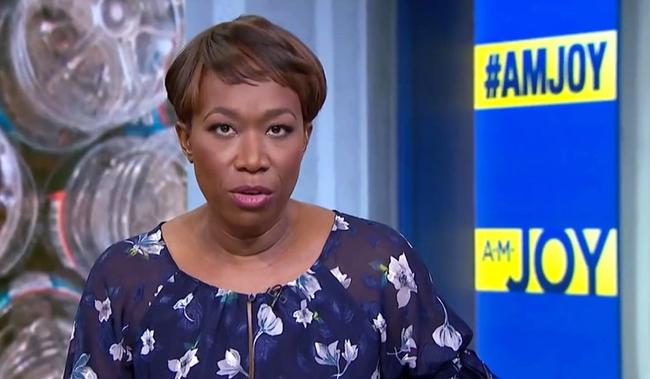 MSNBC Refuses To Fire Joy Reid Despite Anti-Semitic Blog Posts And 2017 ...