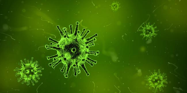 "Biggest Animal Disease Outbreak Ever" Has Already Killed Millions...And There's "No Way To Stop It"