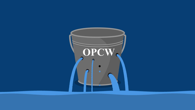 Understand The OPCW Scandal In Seven Minutes