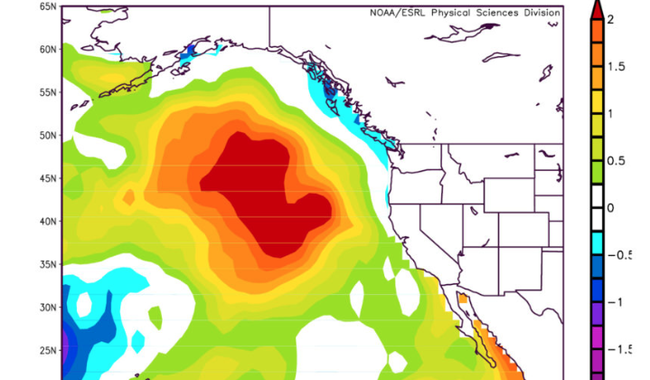 Strange Things Are Happening In The Waters Along The West Coast, And Fish Are Starting To Disappear