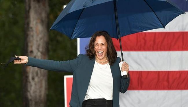 Kamala Harris, Schumer, Cuomo And Feinstein Listed As 'Key Contacts ...