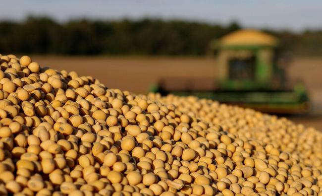 Los precios de la soja alcanzaron máximos de varios años debido al aumento de las exportaciones y los problemas climáticos