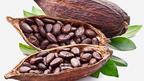 cocoa--beans.jpg?h=d5a0c59e&itok=40Z34tz